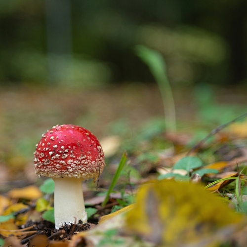 Photo #13958709