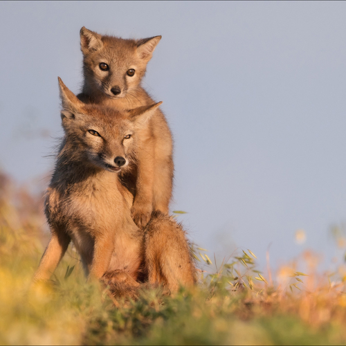 Photo #13958722