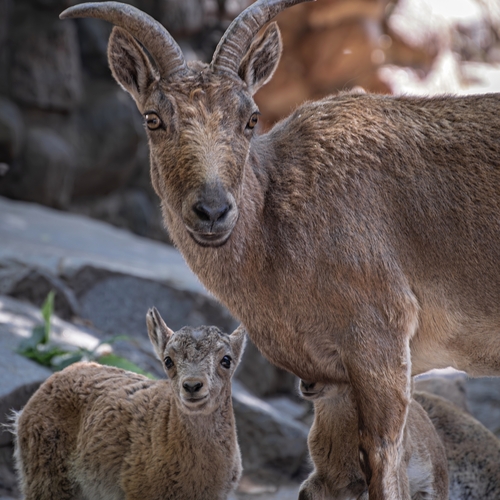 Photo #13958790