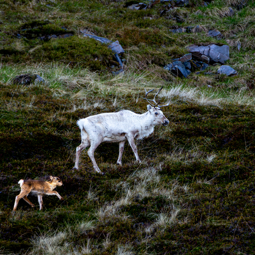 Photo #13958989