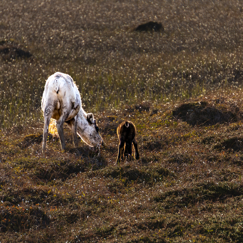Photo #13958991
