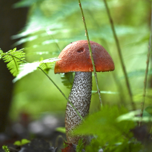 Photo #13959333