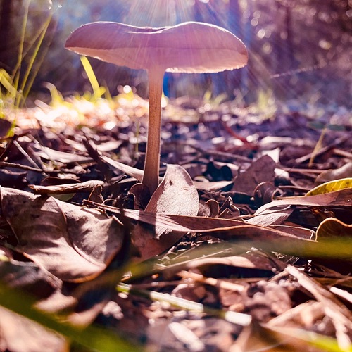 Photo #13959359