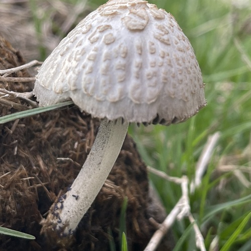 Photo #13959360