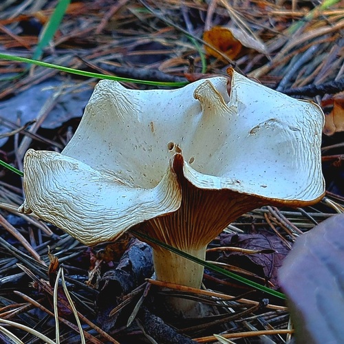 Photo #13959398