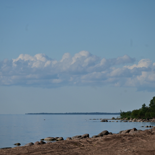 Photo #13959409