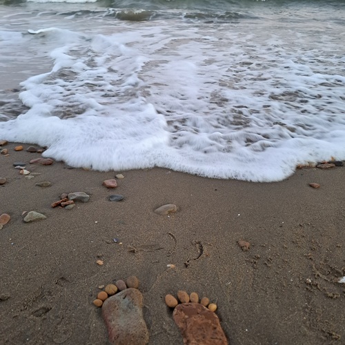 Photo #13959487