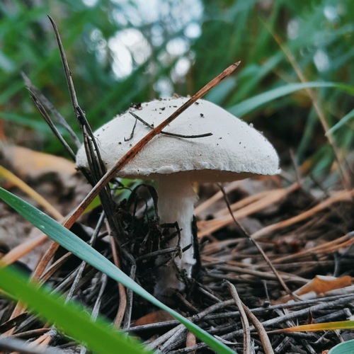 Photo #13959500