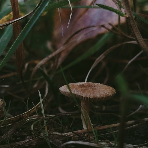 Photo #13959501