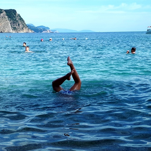 Photo #13959589