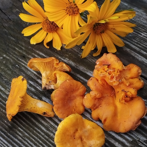 Photo #13959600