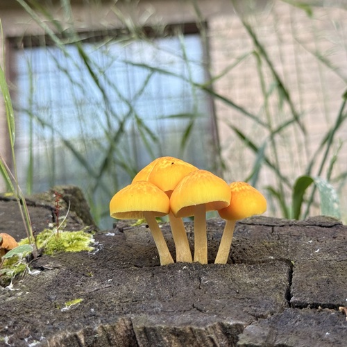 Photo #13959698