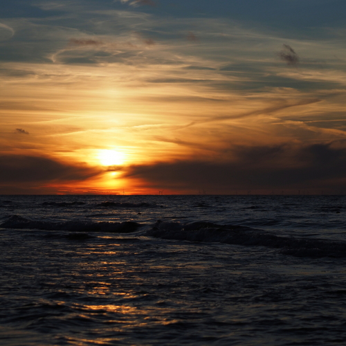 Photo #13959719
