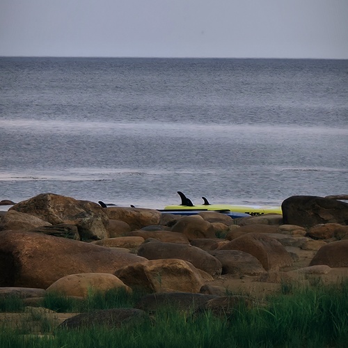 Photo #13959757