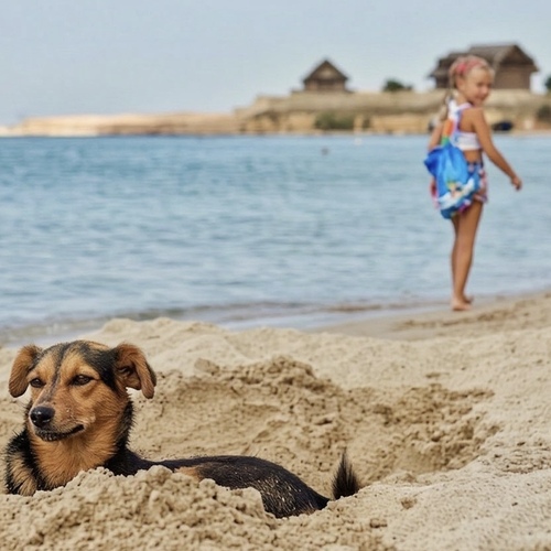 Photo #13959778