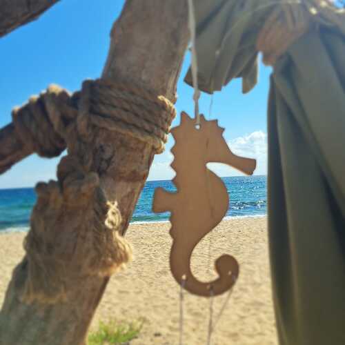 Photo #13959826