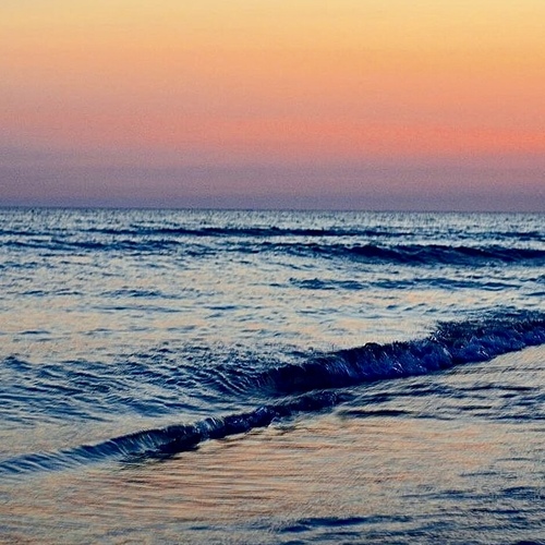 Photo #13959884