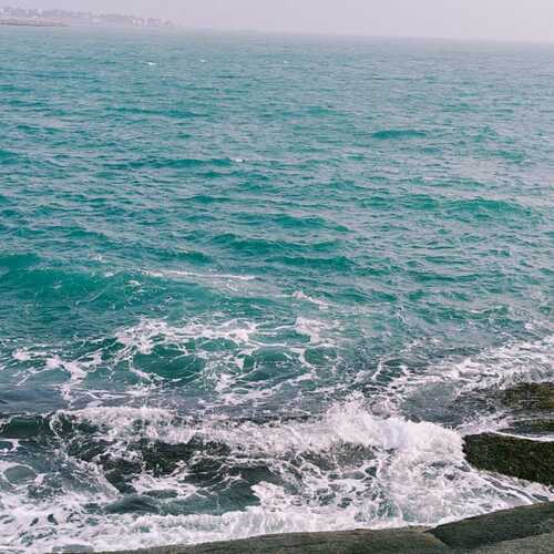 Photo #13959891