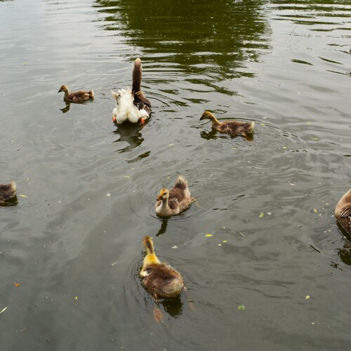 Photo #13959944