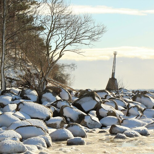 Photo #13960093