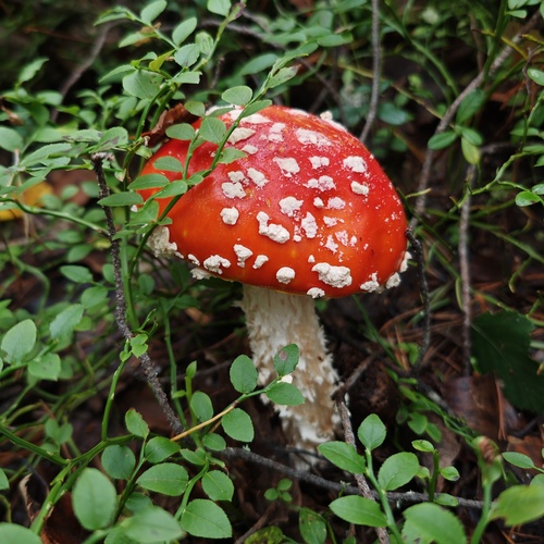 Photo #13960156