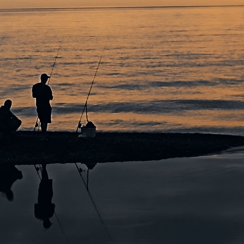 Photo #13960293
