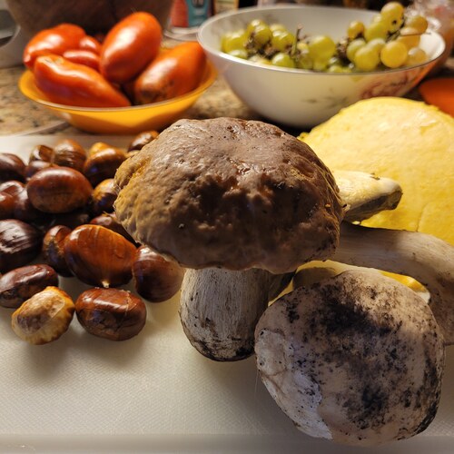 Photo #13960365