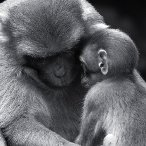 Photo #13960382