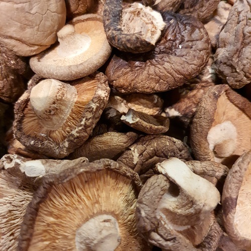 Photo #13960442