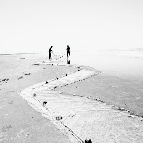 Photo #13960546