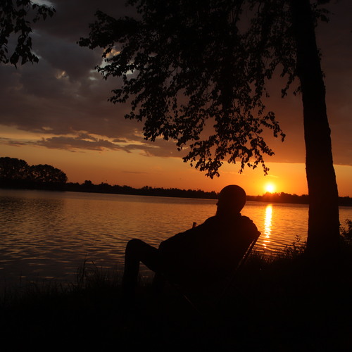 Photo #13960586