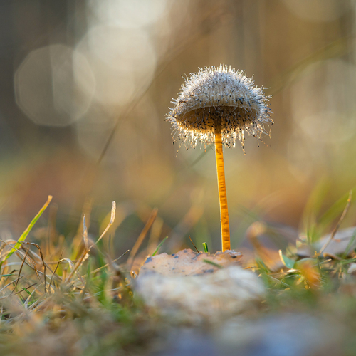 Photo #13960587