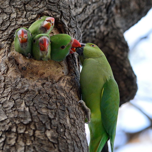 Photo #13960589