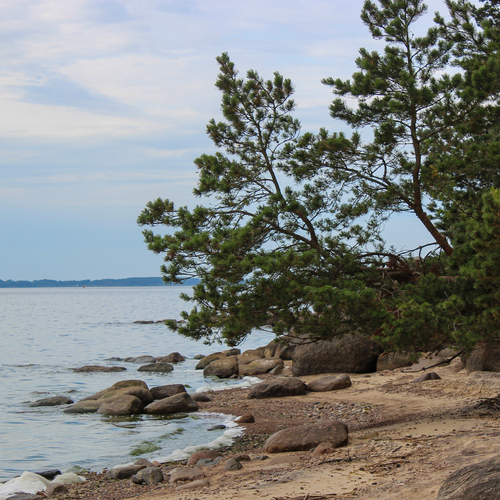 Photo #13960657