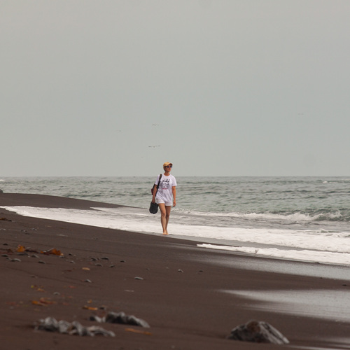 Photo #13960659