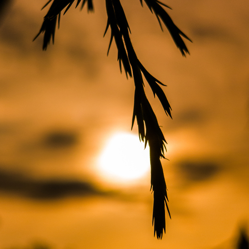 Photo #13960862