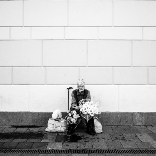 Photo #13960867