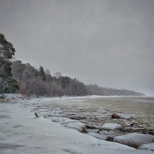 Photo #13961026