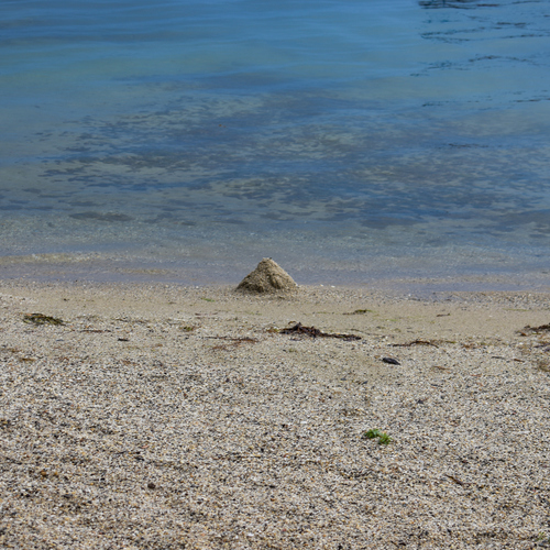 Photo #13961089