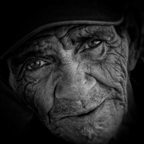 Photo #13961234