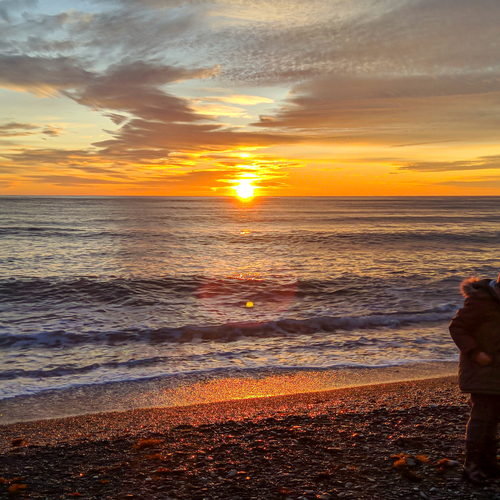Photo #13961456