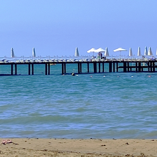 Photo #13961465