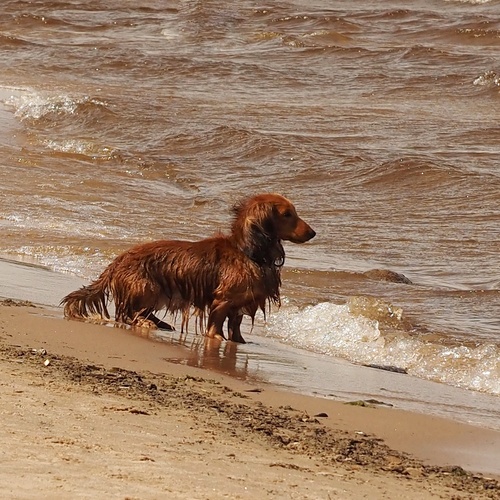 Photo #13961555