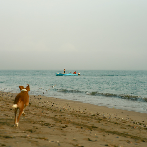 Photo #13961566