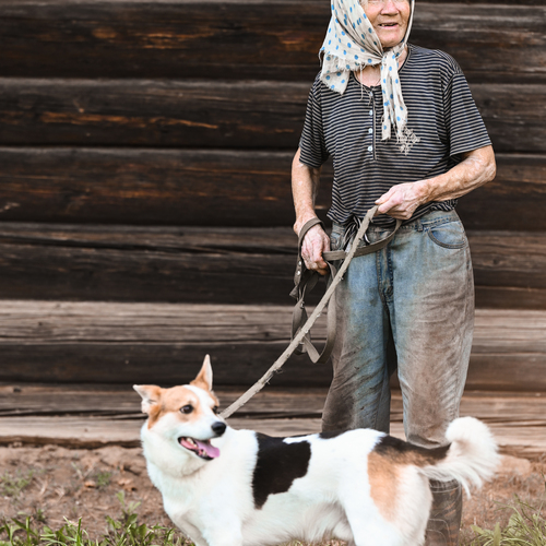Photo #13961579