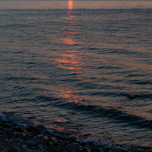 Photo #13961594