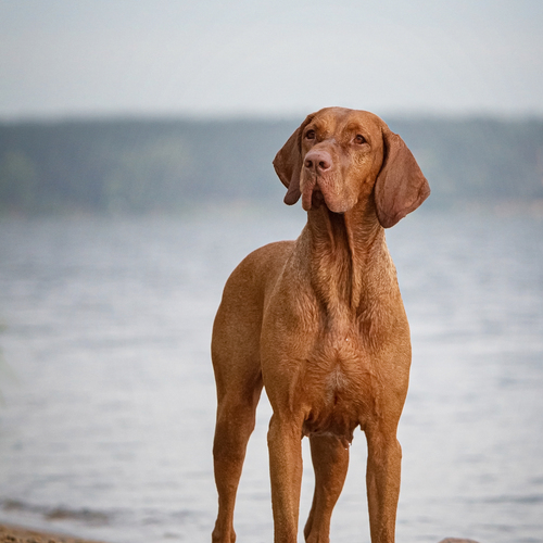 Photo #13961662