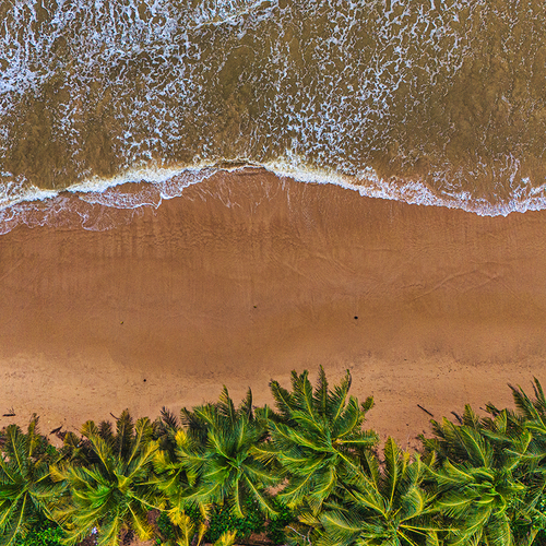 Golden beach