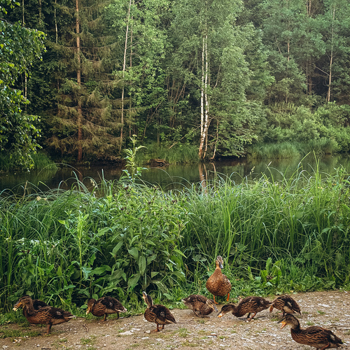 Photo #13961848