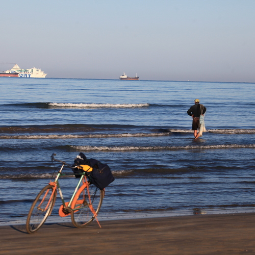 Photo #13962023